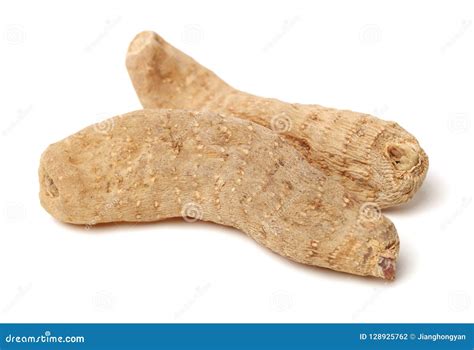 Gastrodia elata stock photo. Image of eating, medicine - 128925762