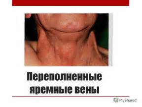 Презентация на тему: "Проф. Андрейчин С.М. Введение в клинику ...