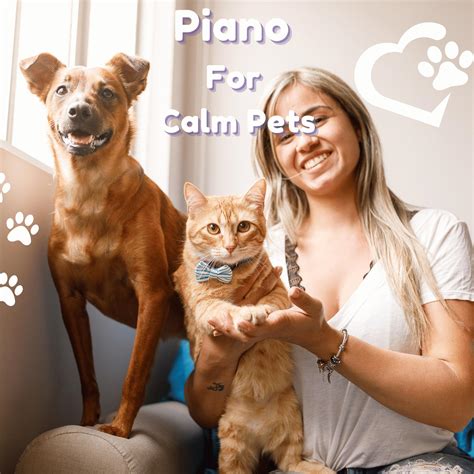 calm music piano 7
