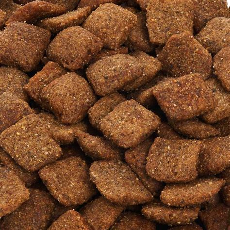 MaxiDog Wellness von Reico | Hundemahlzeit.com