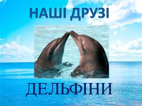 Наші друзі - дельфіни