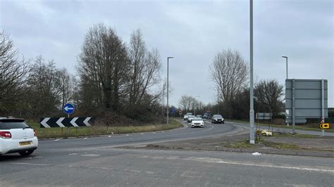 Bunnycritter ero looked as depicted online, a bit above the