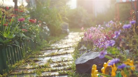 Amazing Magic Path in the Stock Footage Video (100% Royalty-free ...