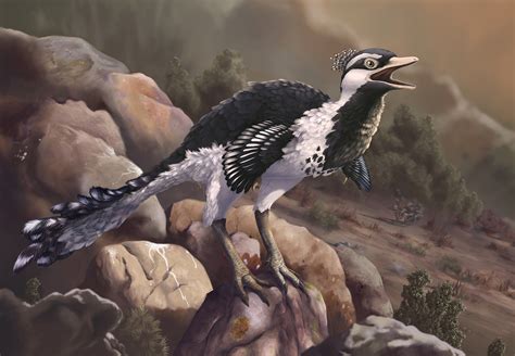 New projects will soon feature the talented Hemby Willoughby 7