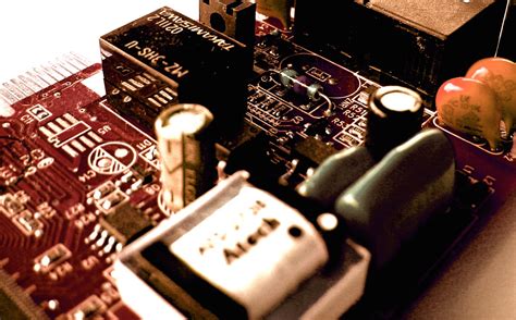 chip   photo  freeimages