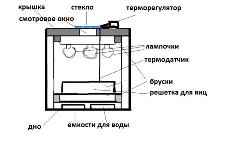 Самодельный инкубатор для яиц своими руками: схемы и описание