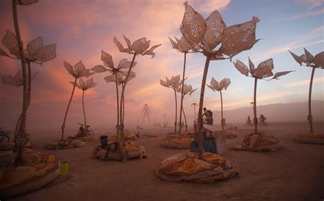 Burning Man 2017: How Much Does It Cost to Go? | Money