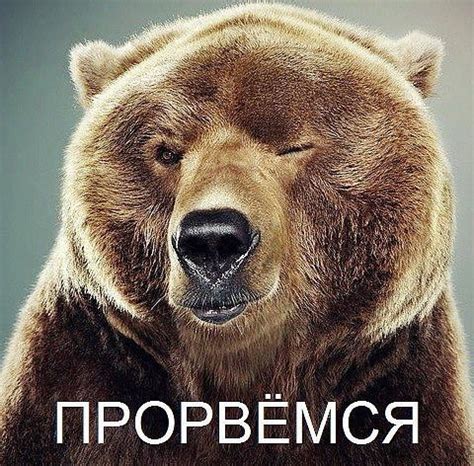 Моя Прелесть / Стихи.ру
