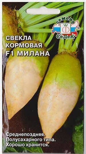 Кормовая свекла: выращивание, сорта