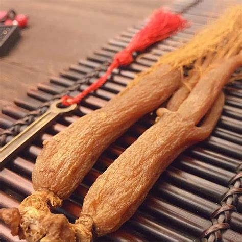 Корень Красного Женьшеня цельный Red Ginseng Root 2 шт. (ТКМ) - купить ...