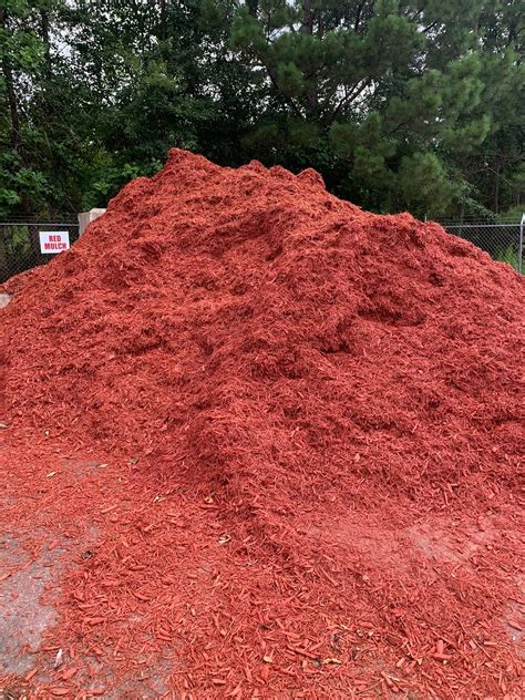 Modern Turf | Columbia SC