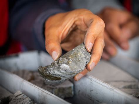 oxide operations orla mining