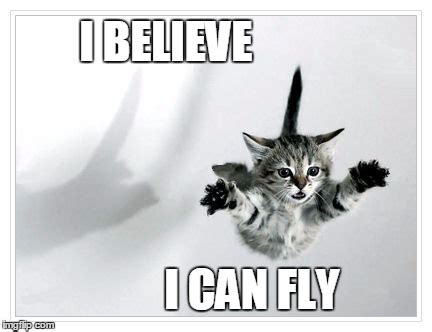 Kitten Believe - Imgflip