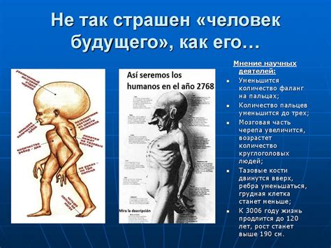 Человек будущего - презентация онлайн