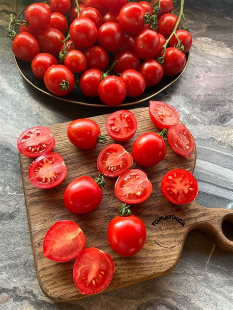 Принц Боргезе (Prince Borghese, Италия) – Tomatinсa.ru