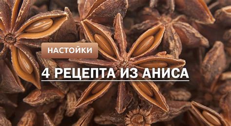 Анисовая настойка: 4 рецепта в домашних условиях