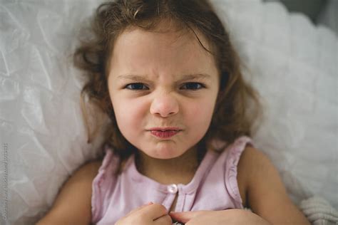 stink face stock image everypixel