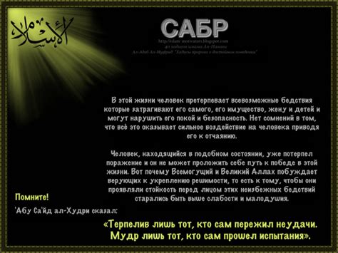 Фотоальбомы - Ислам - религия мира и созидания