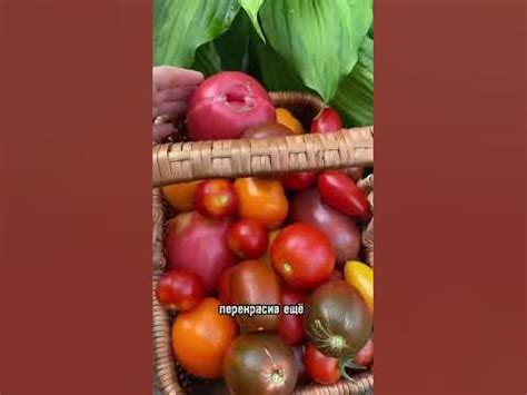Один год в деревне #деревня #жизньвдеревне - YouTube