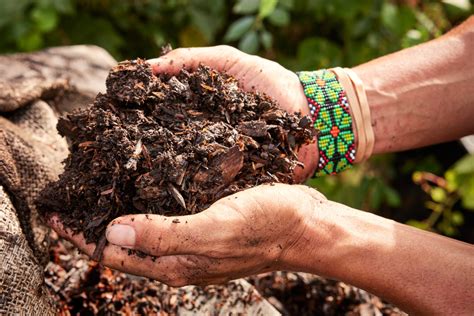 compost tennessee home  farm