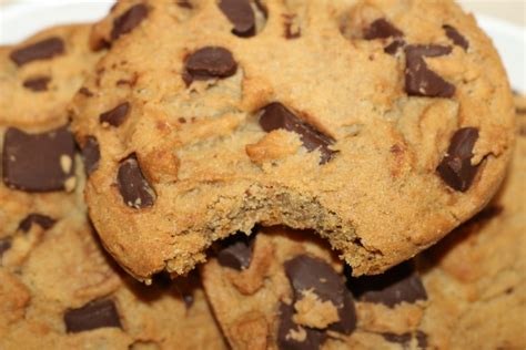 chocolate chip cookie close   stock photo public domain pictures