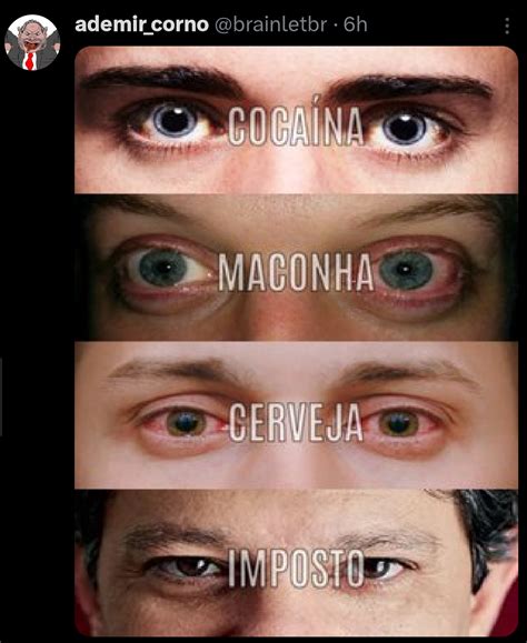 Os Clorofluorcarbonos São Perigosos Porque Podem Destruir A Troposfera