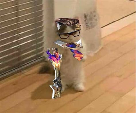 chamer valorant chamber cat valorant cat pfp funny cartoon quotes