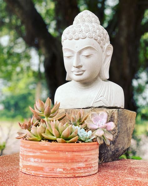 Chùa Giác Ngộ - Củ Chi | Ho Chi Minh City