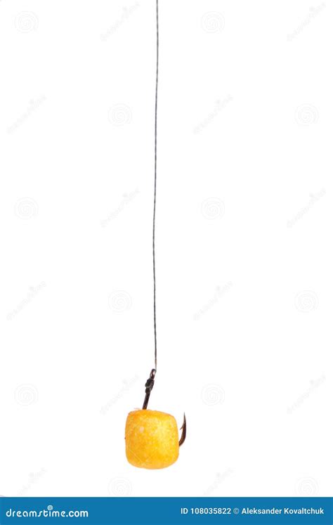 Cukk, Floating Baits for Fish Stock Photo - Image of hook, flavor ...