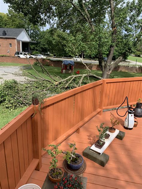 Close call..!! | Scrolller