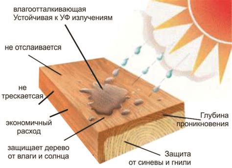 Как осуществляется защита древесины от гниения
