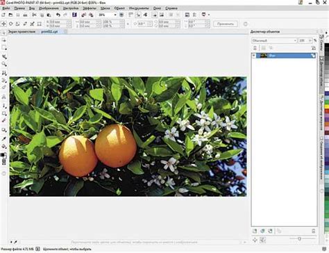 Как вставить картинку в coreldraw – 11. Вставляем картинку в CorelDRAW.
