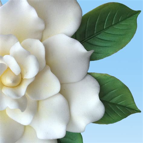 Gardenia Leaf Cutters – World of Sugar Art