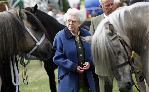 Queen Elizabeth Has Made More Than $9 Million on Horse Races | Observer