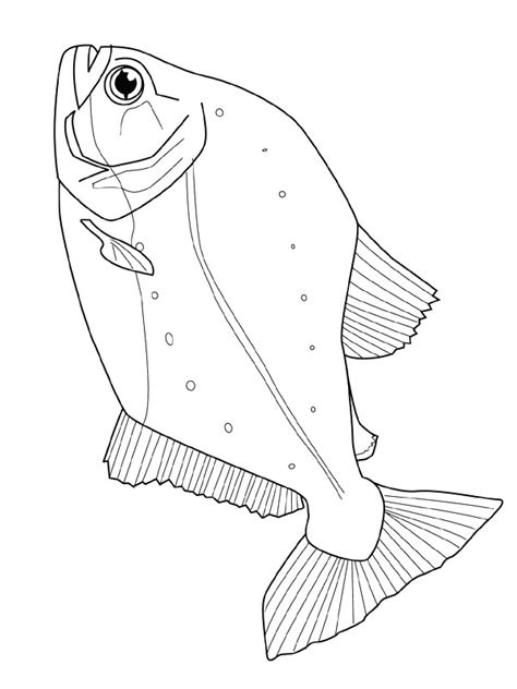 Disegno 24 di Pesci da colorare