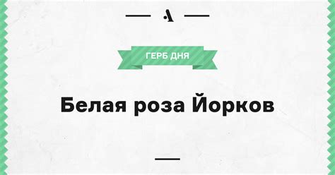 Белая роза Йорков • Arzamas