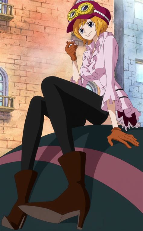 Koala from One Piece | ACDB