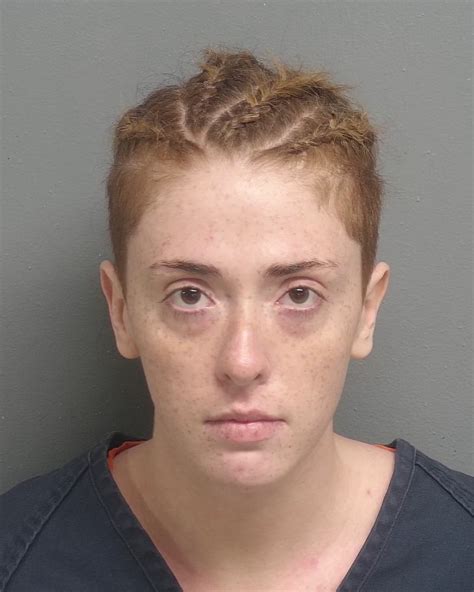 Lawyers rely on the henrico jail inmate search for updates 20