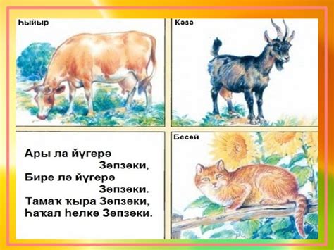 Основной закон башкирского языка. Урок № 11. 3 класс. Башкирский язык.
