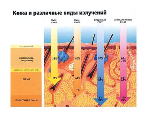 Почему после загара чешется кожа? - Научно-популярный журнал: «Как и ...
