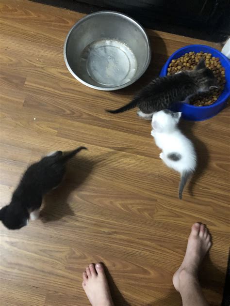 Church ghost egroll : r/aww