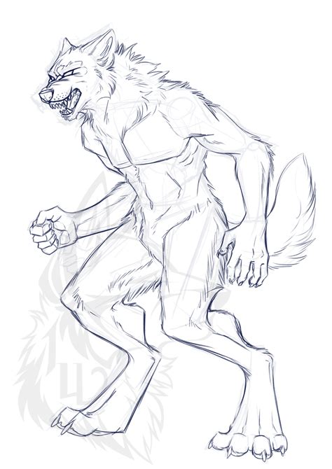 Werewolf Sketch - Dillon Woulfe - WIP by IrishWolven on DeviantArt