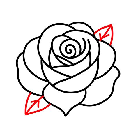 How to Draw Roses: 8 Easy Step-by-Step Guides in 1 | Roses drawing