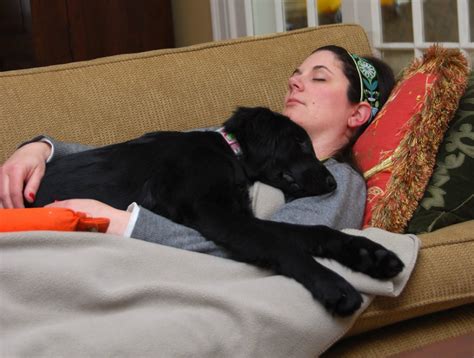 national napping day  simple nap  change