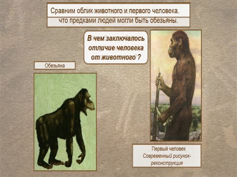 Презентация «Первые люди на Земле»
