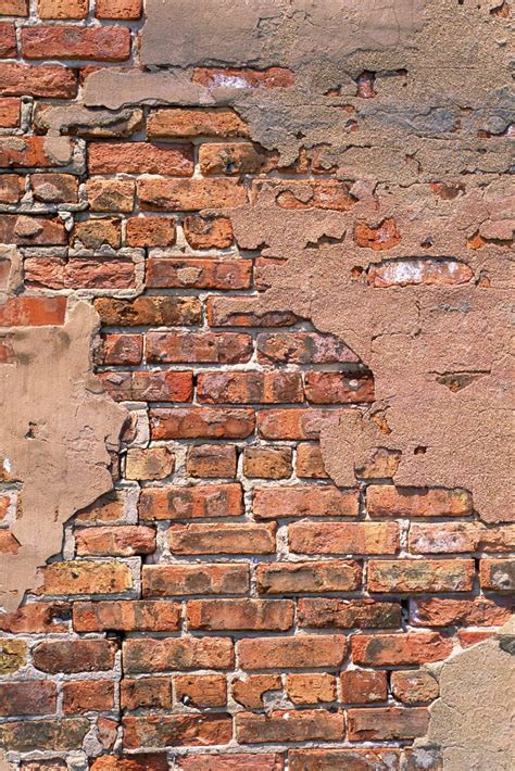 Painting Brick Walls: A Step-By-Step Guide - Home Wall Ideas