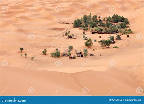 An Oasis In The Sahara Desert. Royalty-Free Stock Photo | CartoonDealer ...