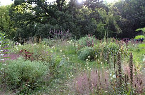 Benefits of Naturalistic Garden Design | New Naturalism | joe gardener®