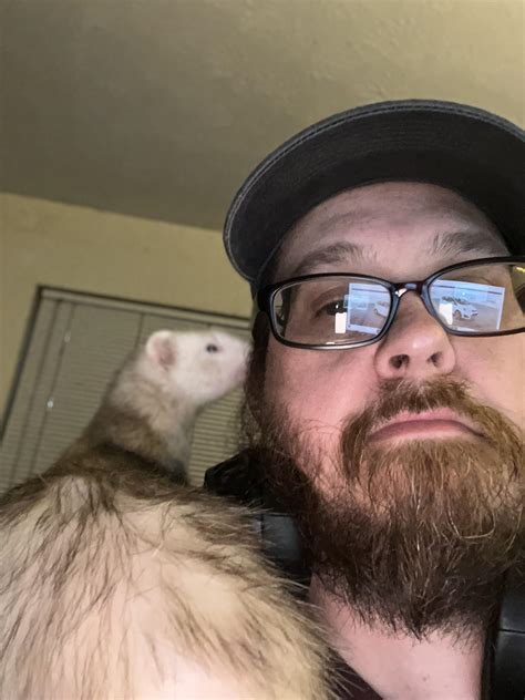 This is my life now, and I’m ok with it… : r/ferrets