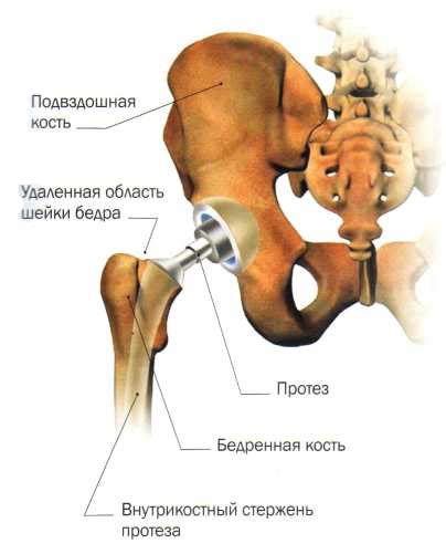 Современные методы диагностики и лечения | Meddoc